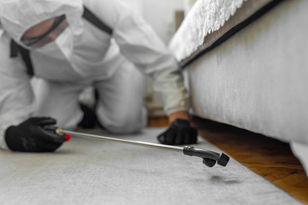 Professional Ant Control technician working in Southport, CT