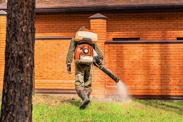 Trusted Mosquito Control service in Southport, CT - Nex Pest Control